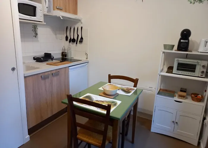 アパート Petit Nid Douillet , T1 Traversant , Sejour , Balcon ,cuisine Independante, Loggia , Au Calme, Proche Centre *