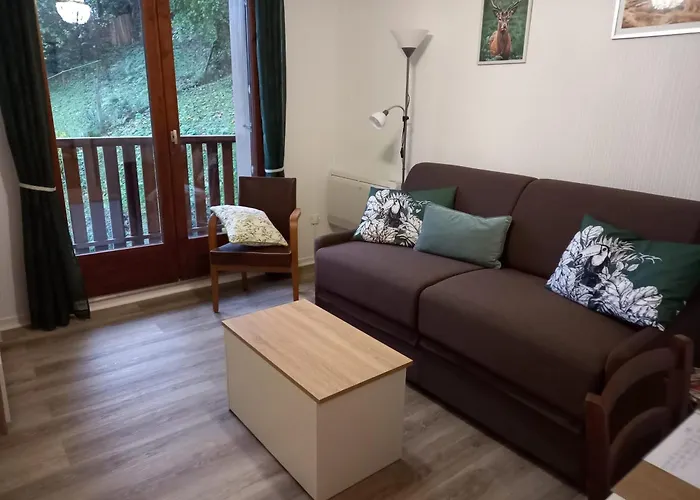 Petit Nid Douillet , T1 Traversant , Sejour , Balcon ,cuisine Independante, Loggia , Au Calme, Proche Centre Bagnères-de-Luchon